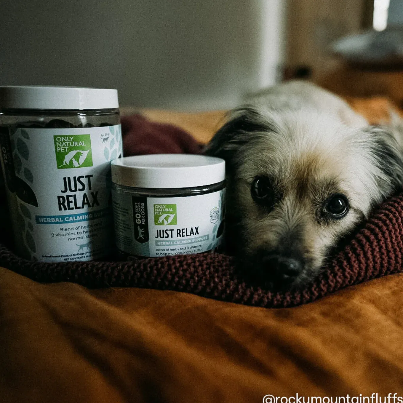 Only Natural Pet Just Relax Calming Chews for Dogs