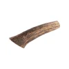 Only Natural Pet Medium Whole Elk Antler for Dogs