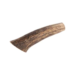 Only Natural Pet Medium Whole Elk Antler for Dogs