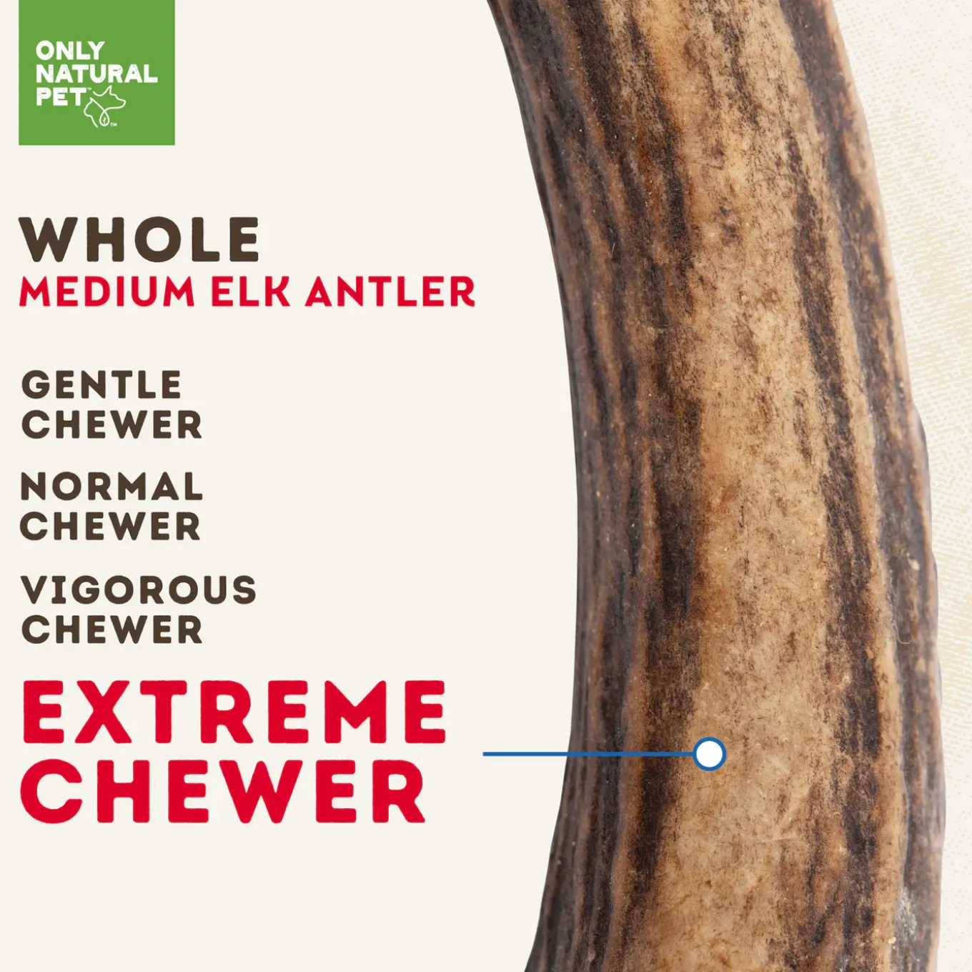 Only Natural Pet Medium Whole Elk Antler for Dogs