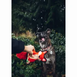 Only Natural Pet Mountain Friends Recycled Plush Dog Toys