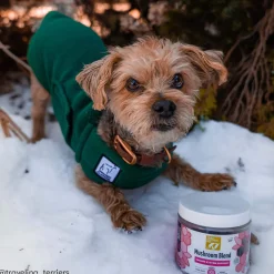 Only Natural Pet Mushroom Blend Immune System Support Supplement for Dogs