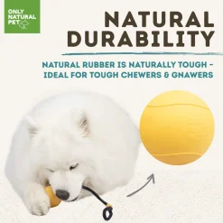 Only Natural Pet Natural Rubber Bond Building Fetch and Tug Dog Toys