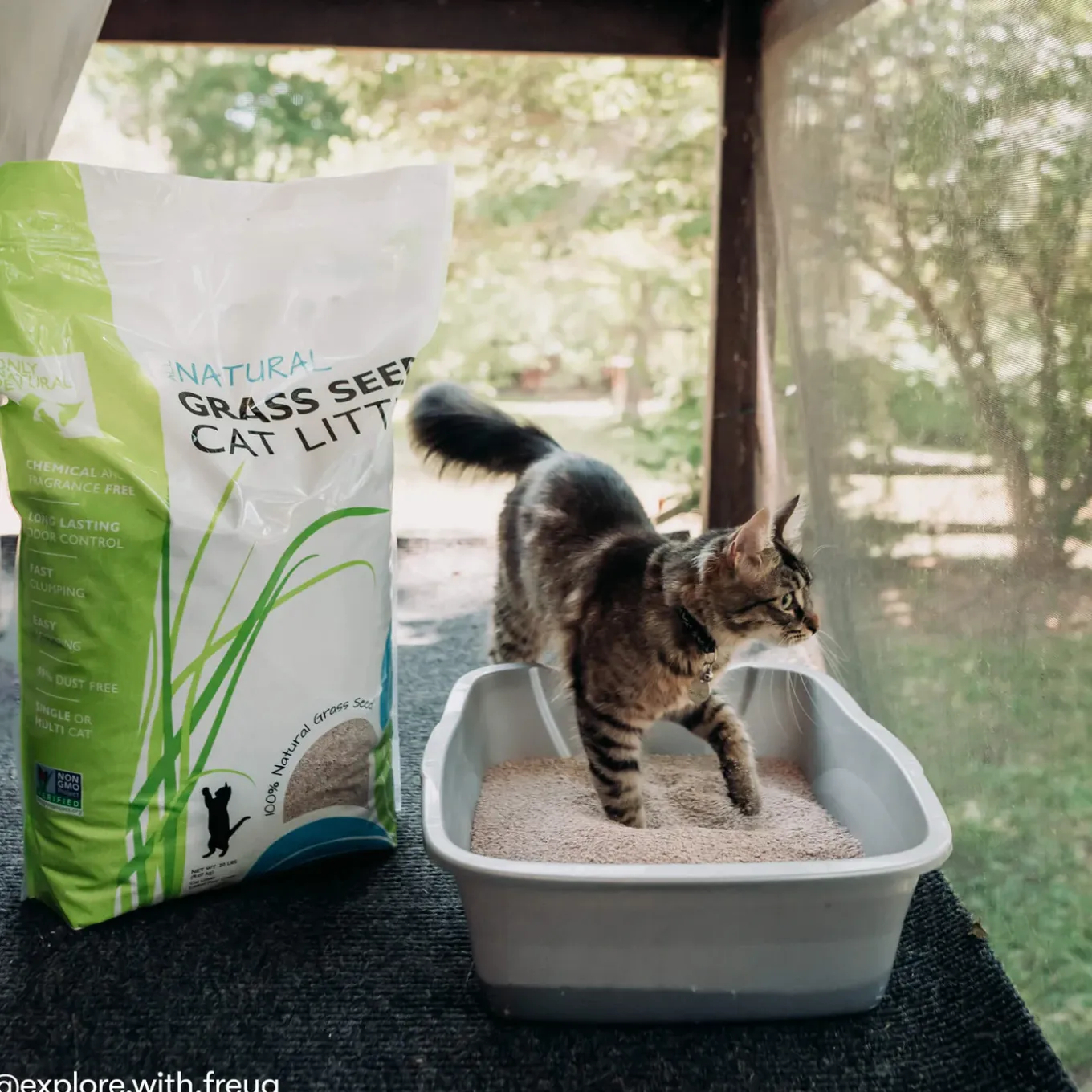 Only Natural Pet Non GMO Fast Clumping Grass Seed Cat Litter