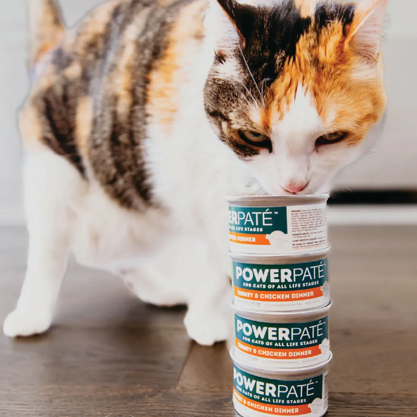 Only Natural Pet PowerPate Grain-Free Wet Cat Food