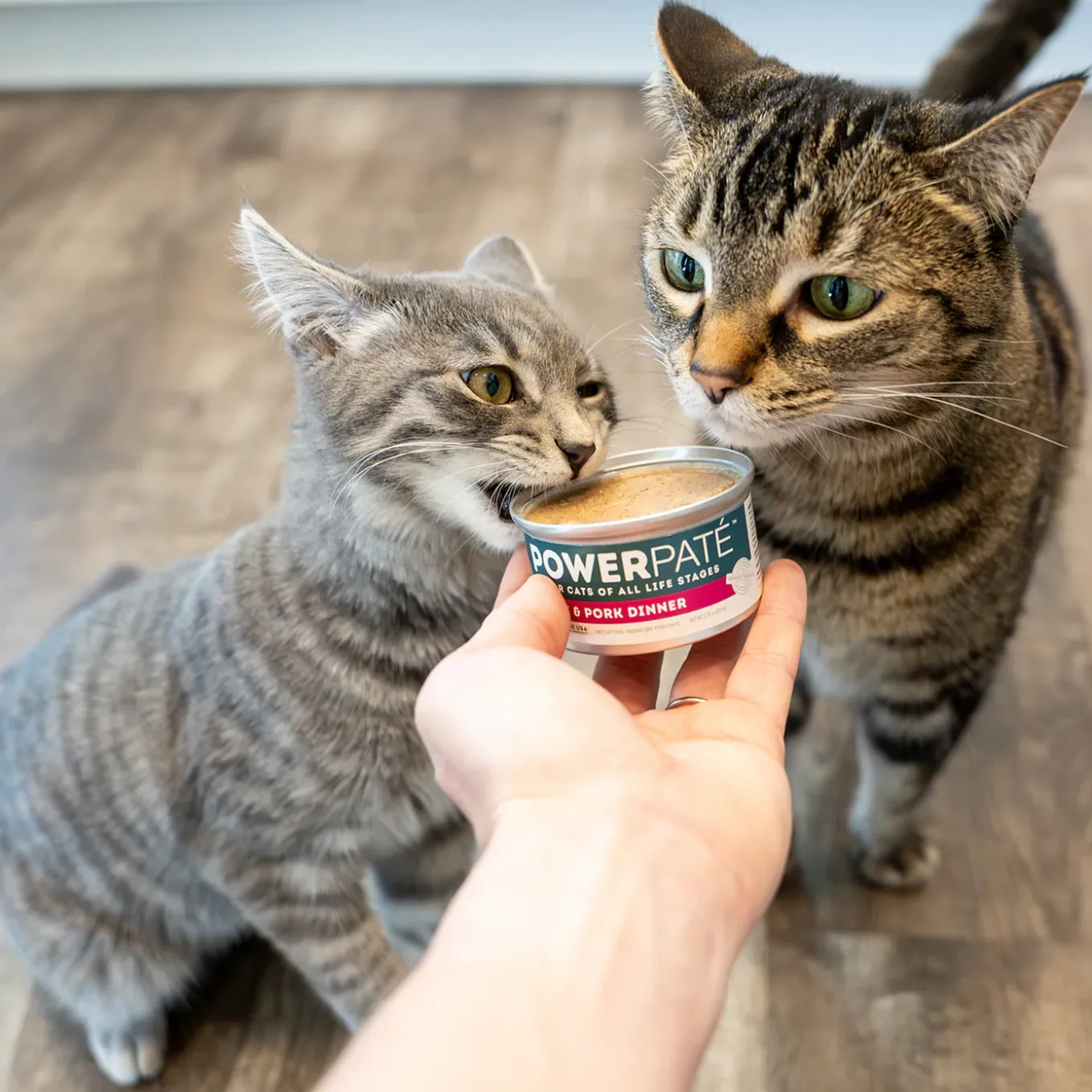 Only Natural Pet PowerPate Grain-Free Wet Cat Food