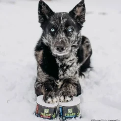 Only Natural Pet Hemp Allergy Skin & Coat Soft Chews for Dogs
