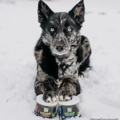 Only Natural Pet Hemp Allergy Skin & Coat Soft Chews for Dogs