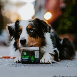 Only Natural Pet Hemp Calming Support Soft Chews for Dogs