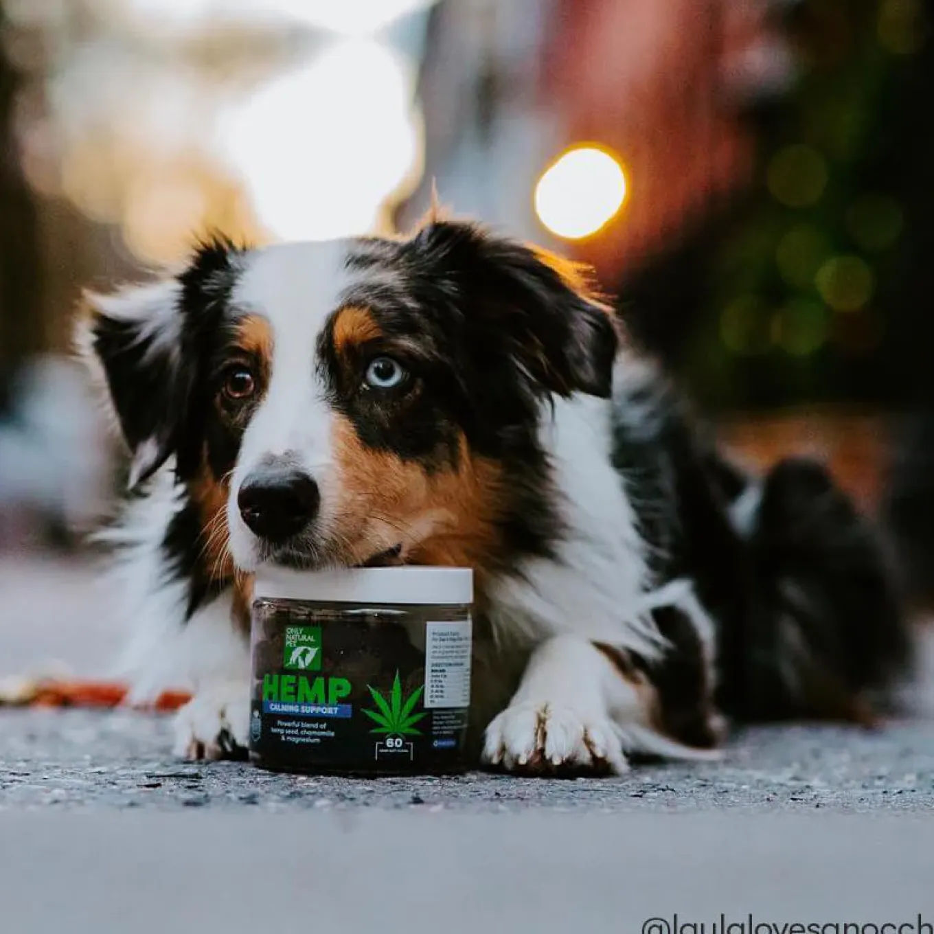 Only Natural Pet Hemp Calming Support Soft Chews for Dogs