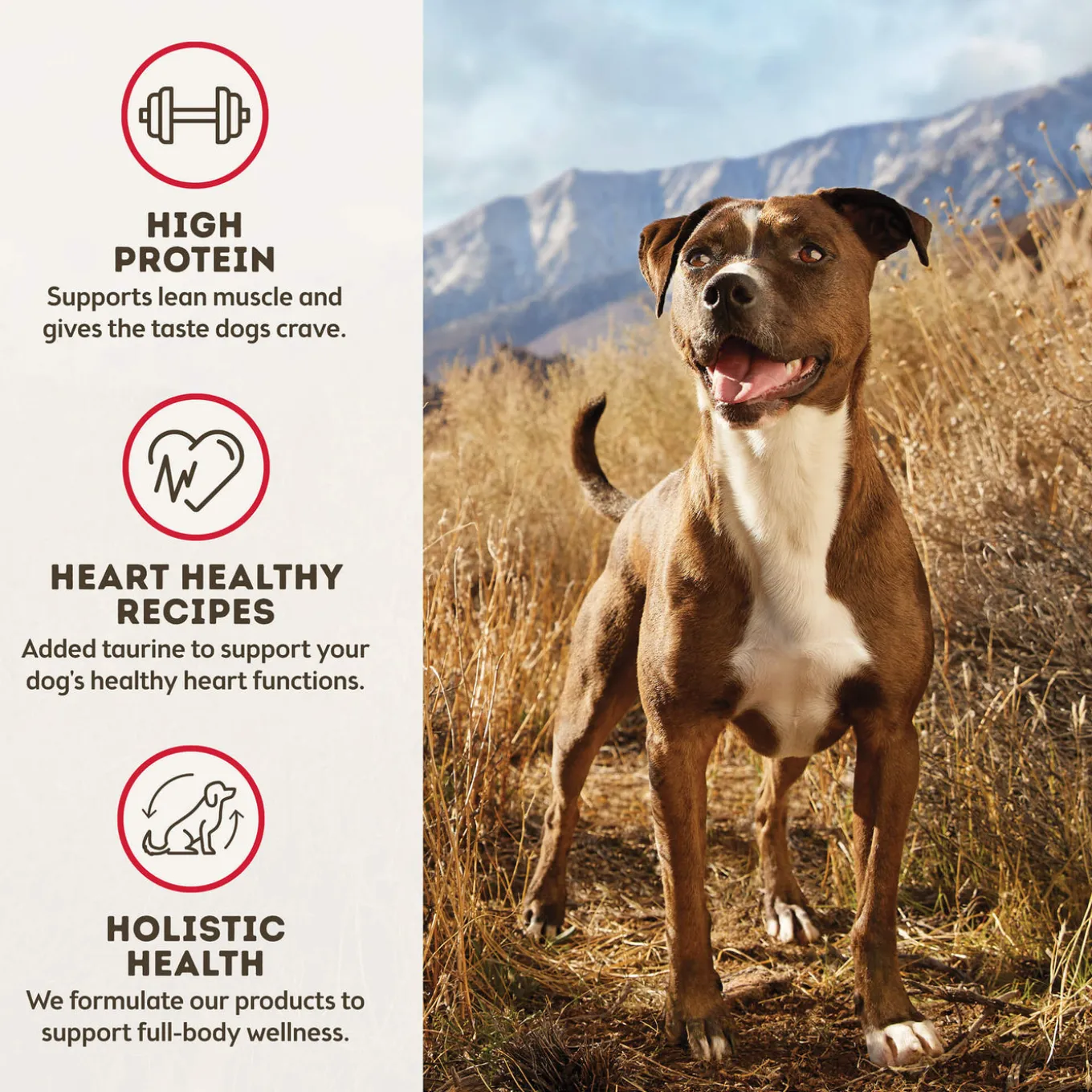 Only Natural Pet MaxBlends Grain-Free Dehydrated Dog Food