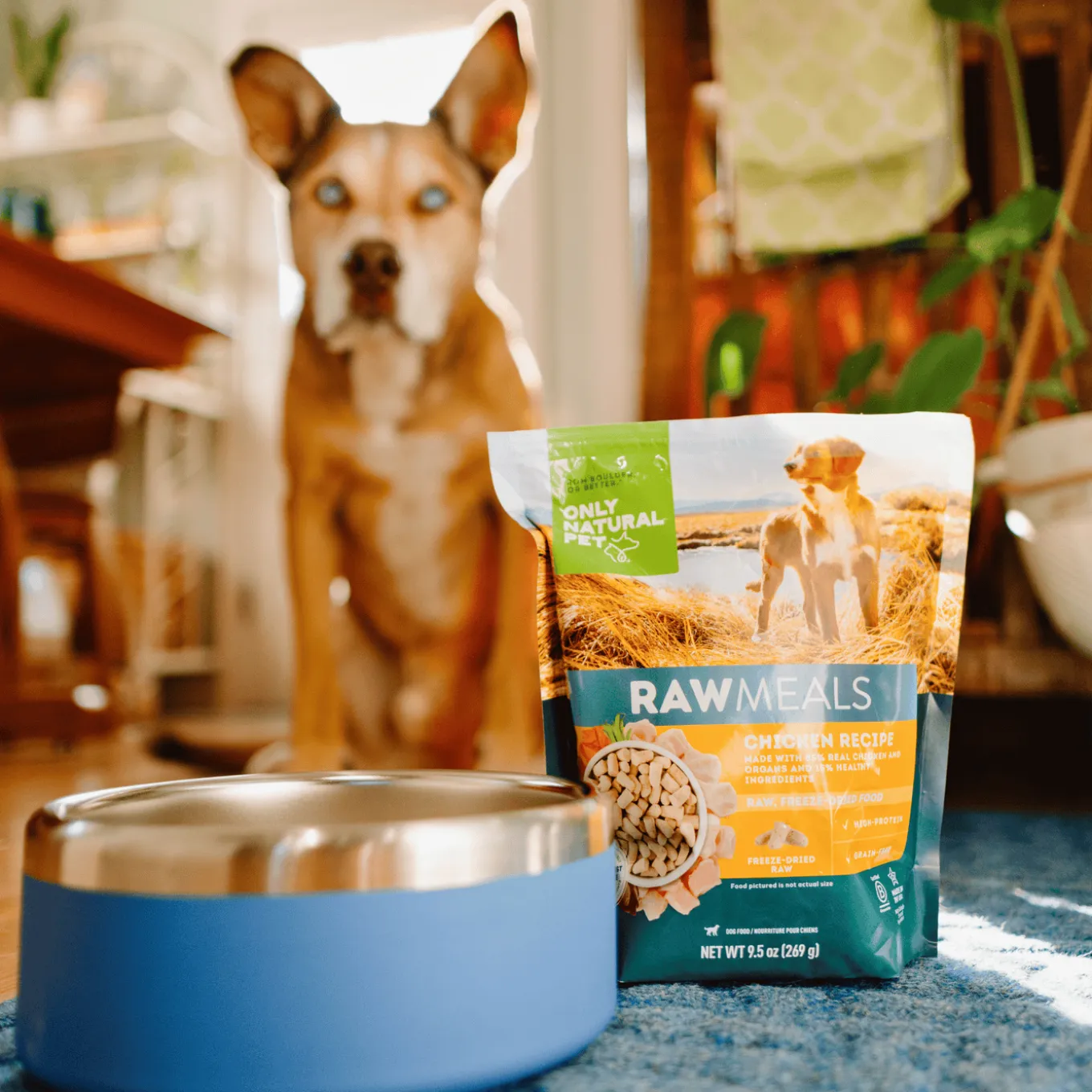 Only Natural Pet RawMeals Freeze Dried Dog Food Trial Offer