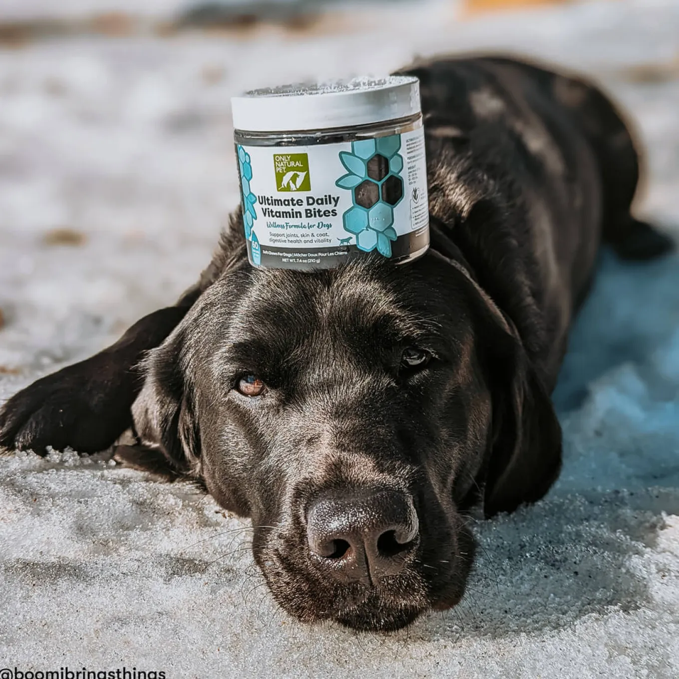 Only Natural Pet Ultimate Daily Canine Vitamins Soft Chews