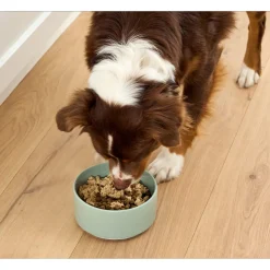 Open Farm Icelandic Grain Free Wet Topper for Dogs 4.59 oz (Case of 12)