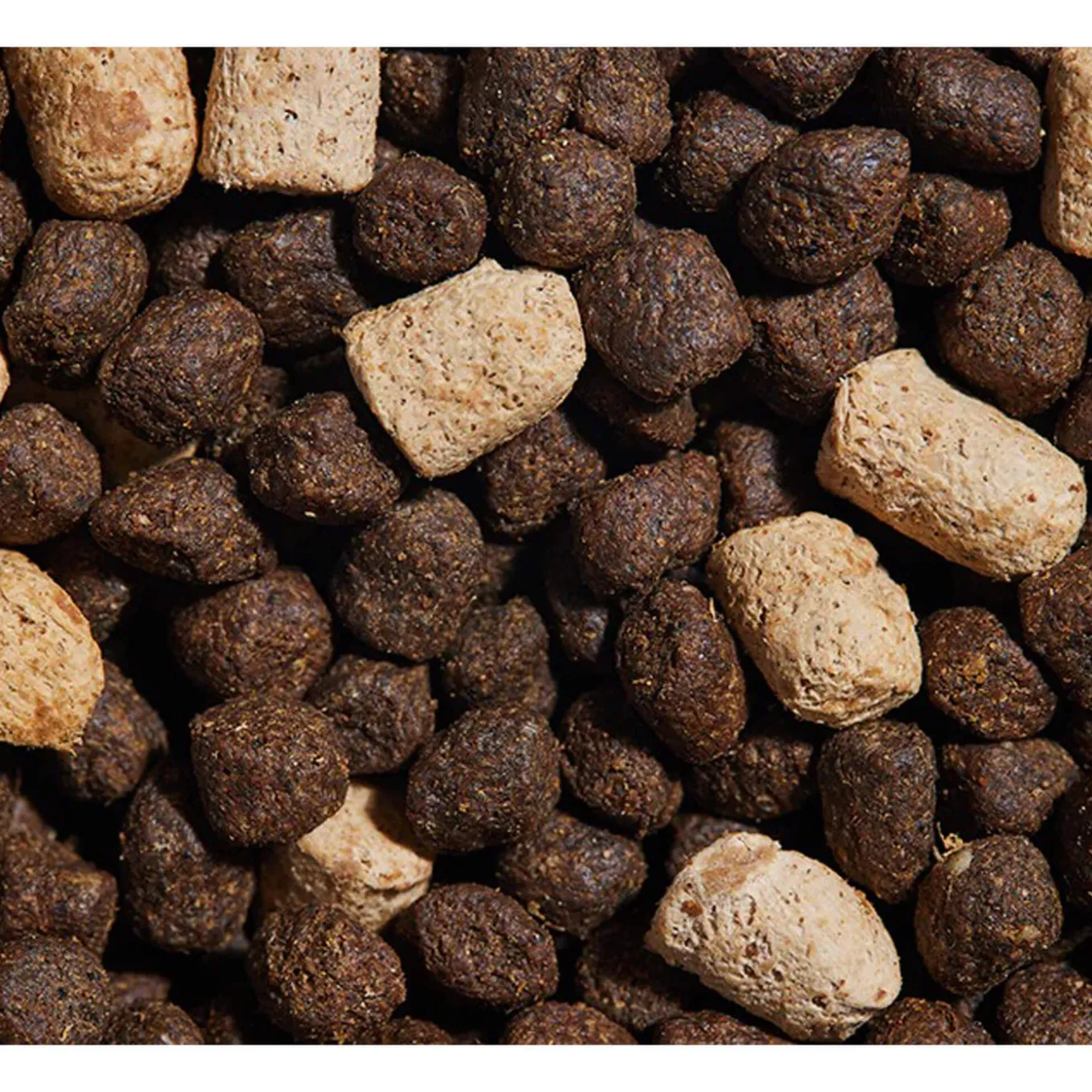 Open Farm Ancient Grains Rawmix Dry Dog Food