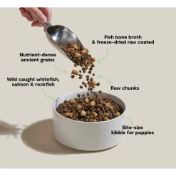 Open Farm Ancient Grains Rawmix Puppy Food