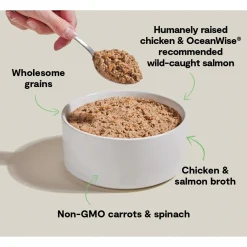 Open Farm Goodbowl Wholesome Grain Pate for Dogs
