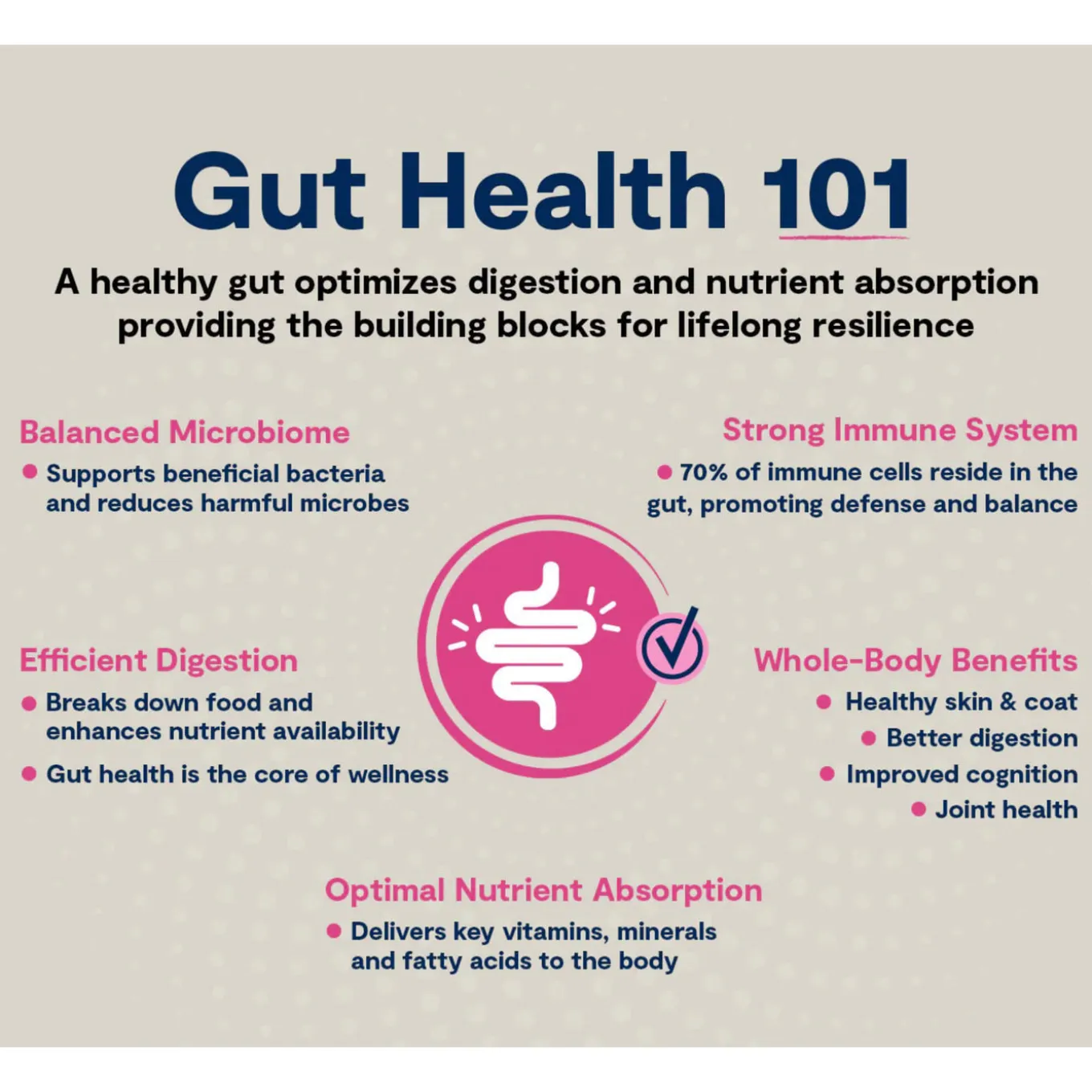 Open Farm Good Gut Kibble with Probiotics for Dogs
