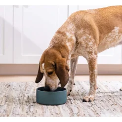 Open Farm Hearty Stew Wet Food for Dogs