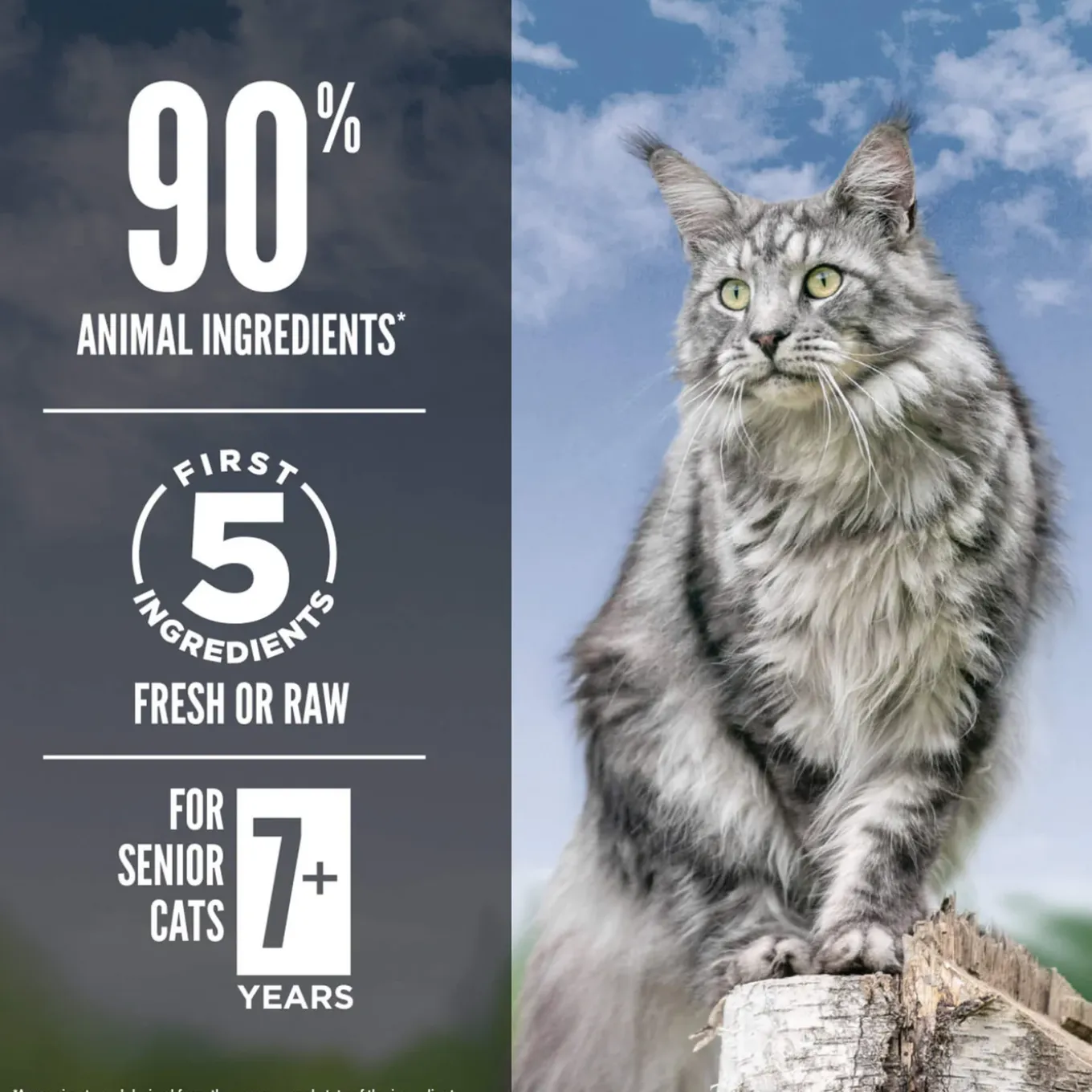 Orijen Grain Free Guardian Cat Food