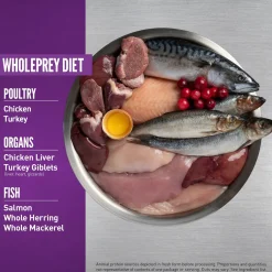 Orijen Grain Free Kitten Food