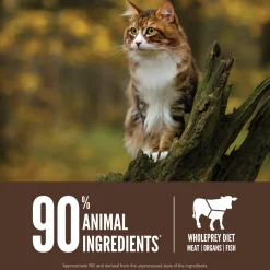 Orijen Grain-Free Dry Cat Food
