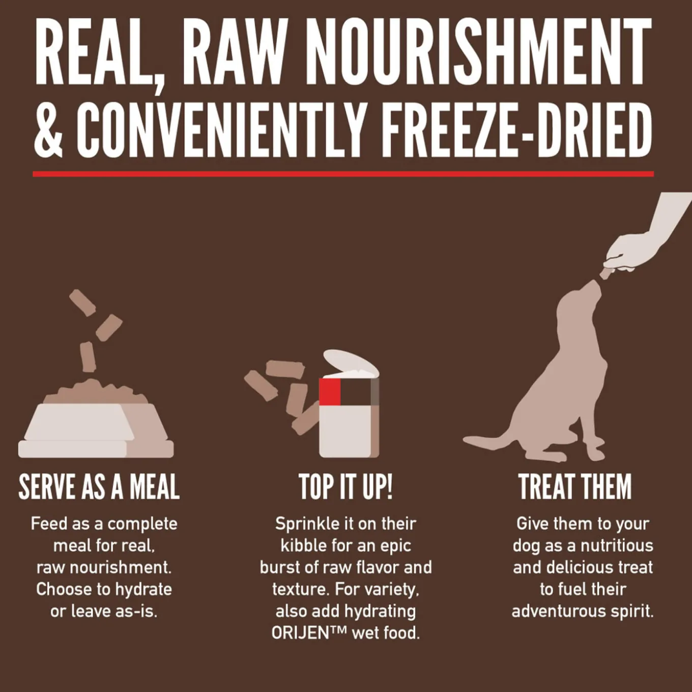 Orijen Epic Freeze Dried Dog Food 6oz