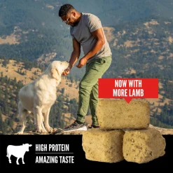Orijen Freeze Dried Dog Treats