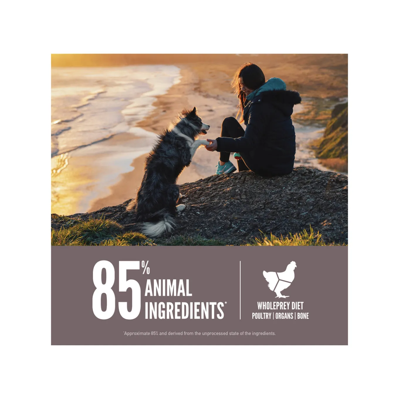 Orijen Grain-Free Dry Dog Food