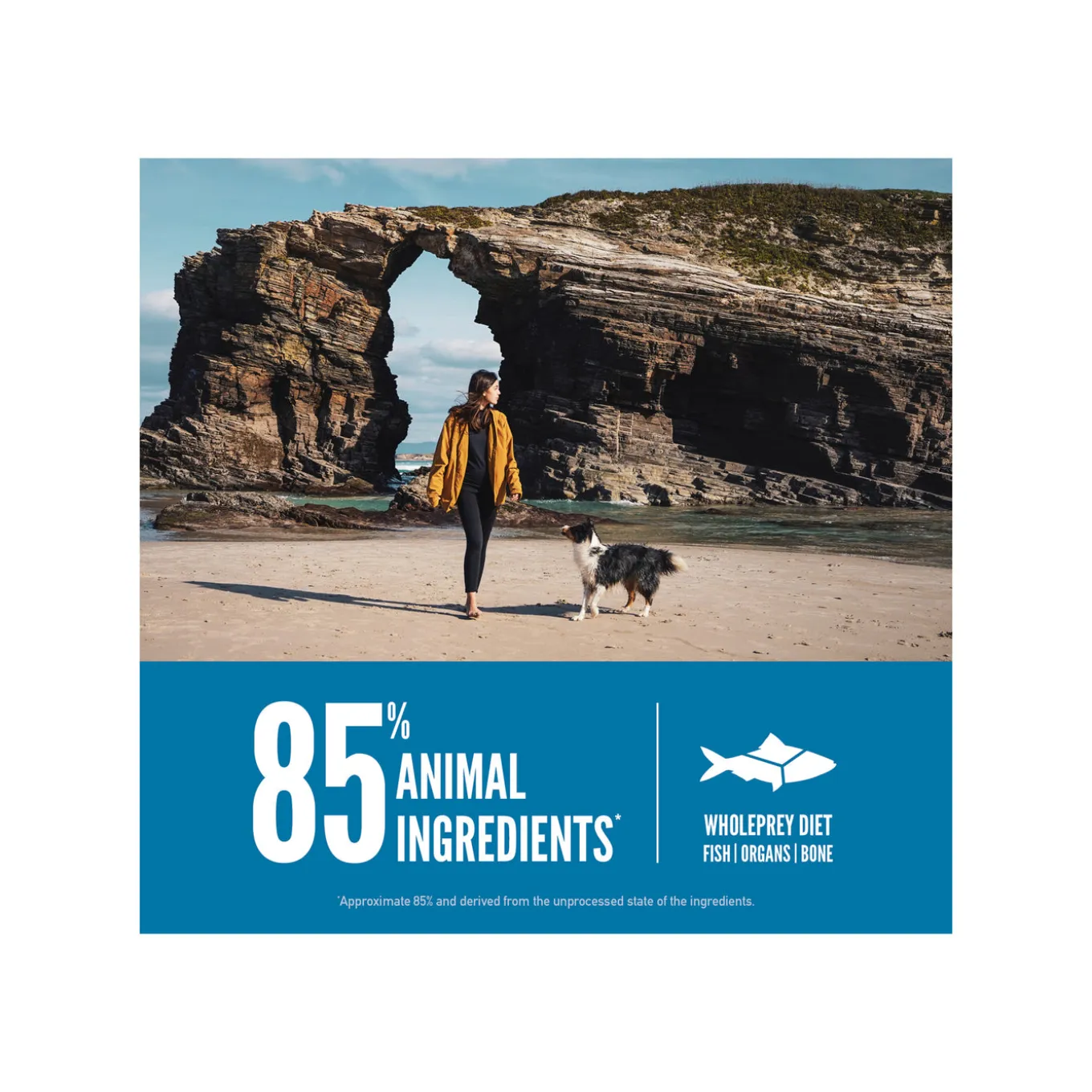 Orijen Grain-Free Dry Dog Food
