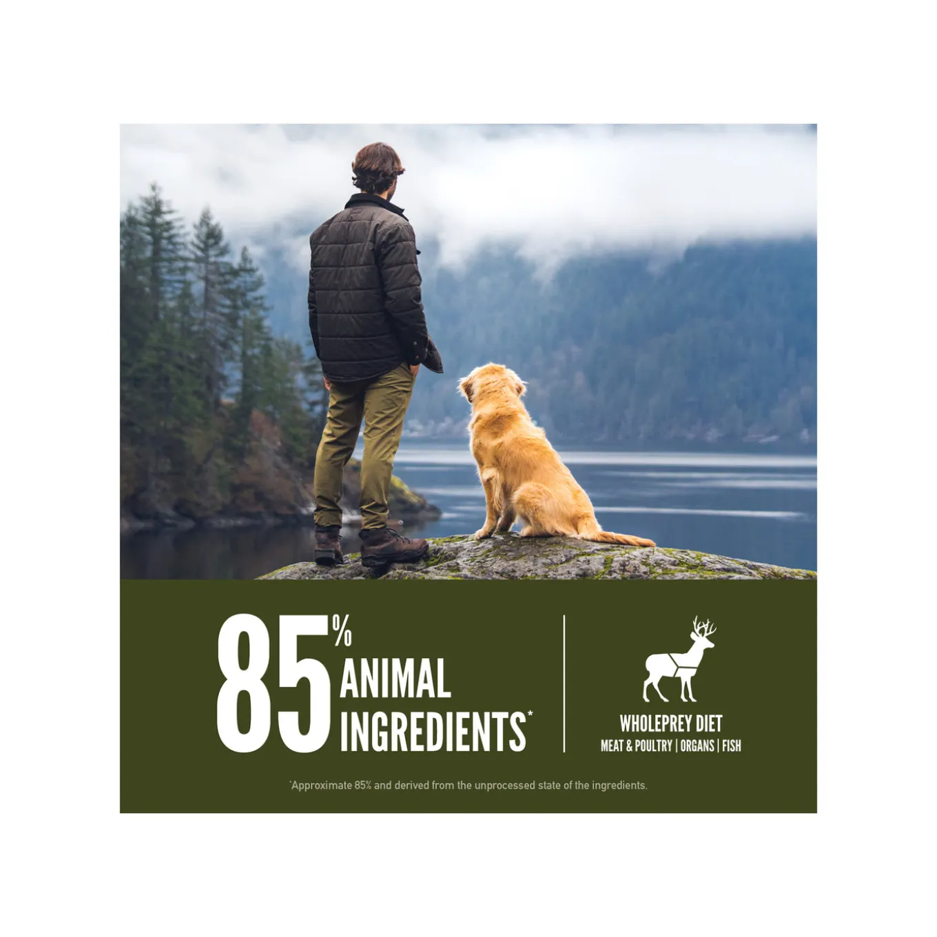 Orijen Grain-Free Dry Dog Food