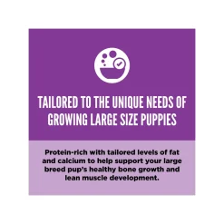 Orijen Grain-Free Puppy Dry Dog Food