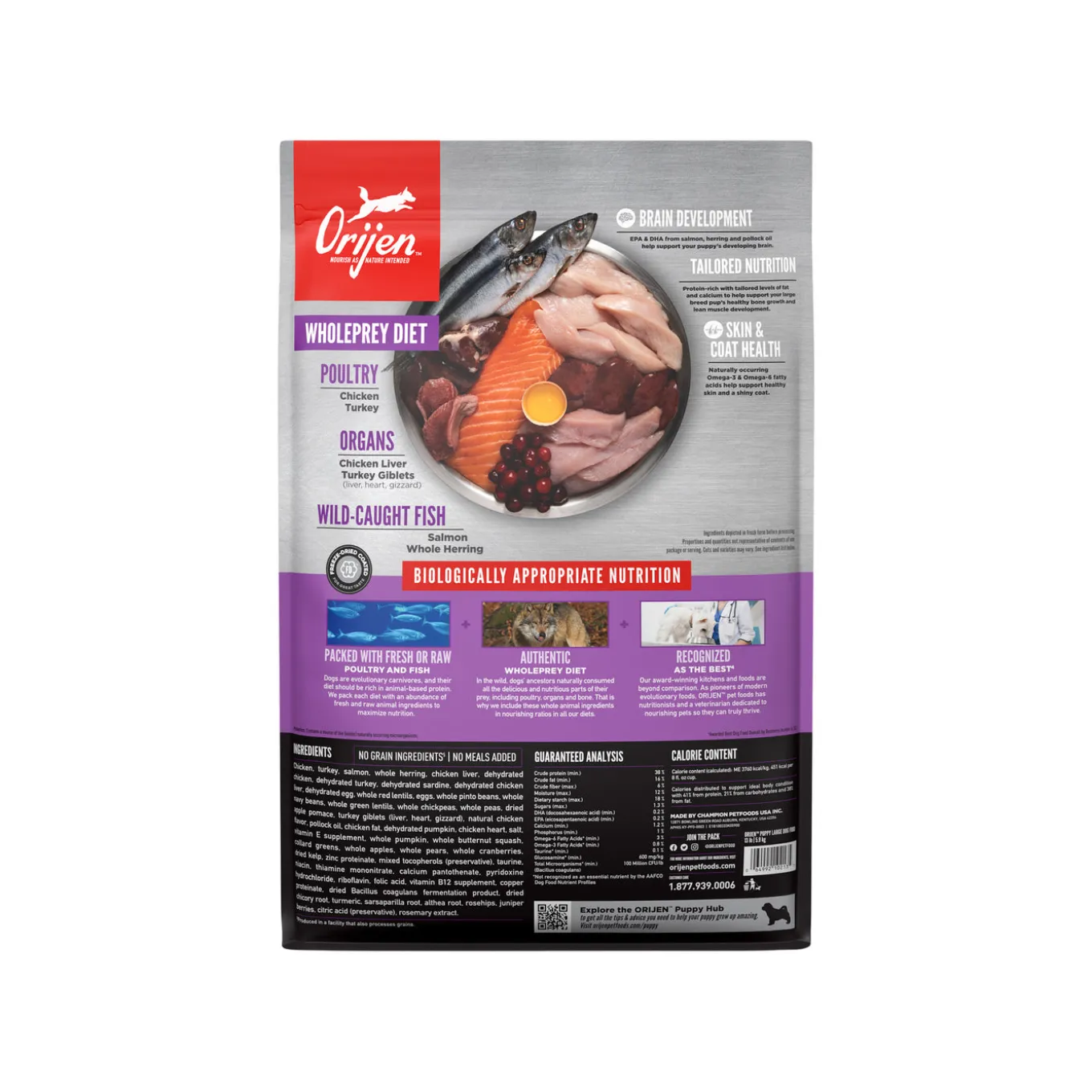 Orijen Grain-Free Puppy Dry Dog Food