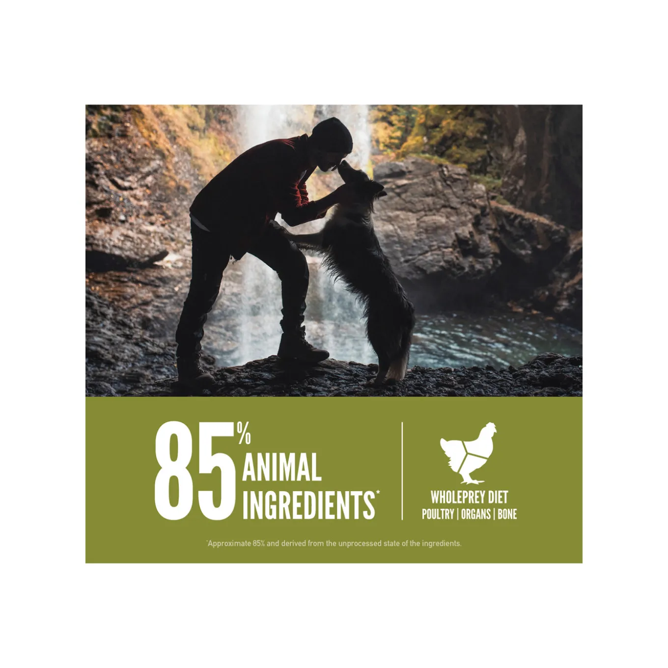 Orijen Grain-Free Senior Dry Dog Food