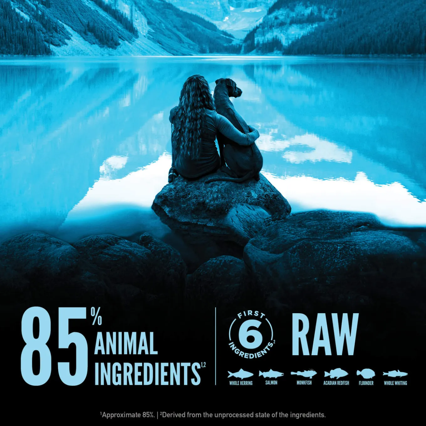 Orijen Wild Reserve Grain Free Dry Dog Food