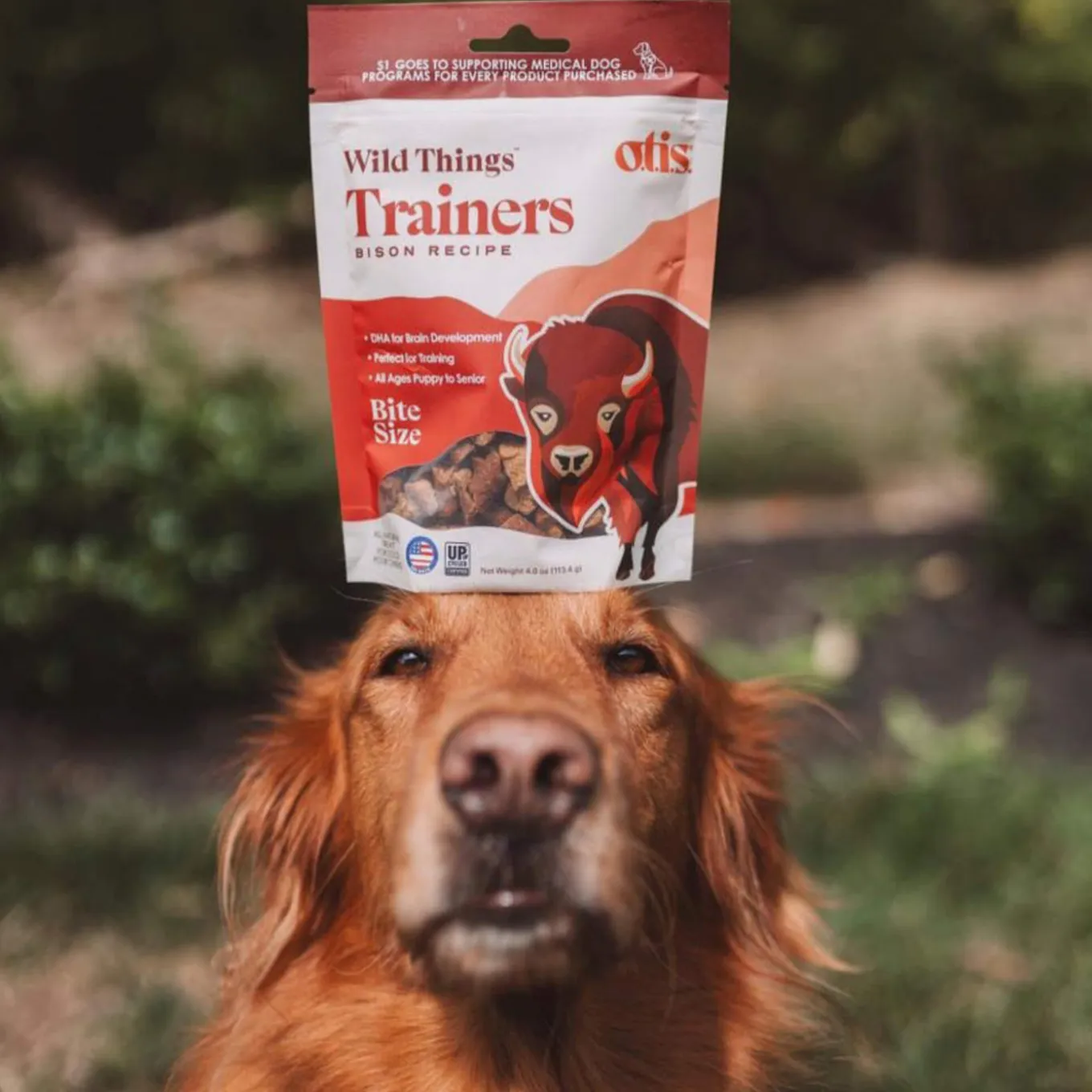 O.T.I.S. Wild Things Trainers Dog Treats