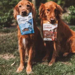 O.T.I.S. Wild Things Trainers Dog Treats