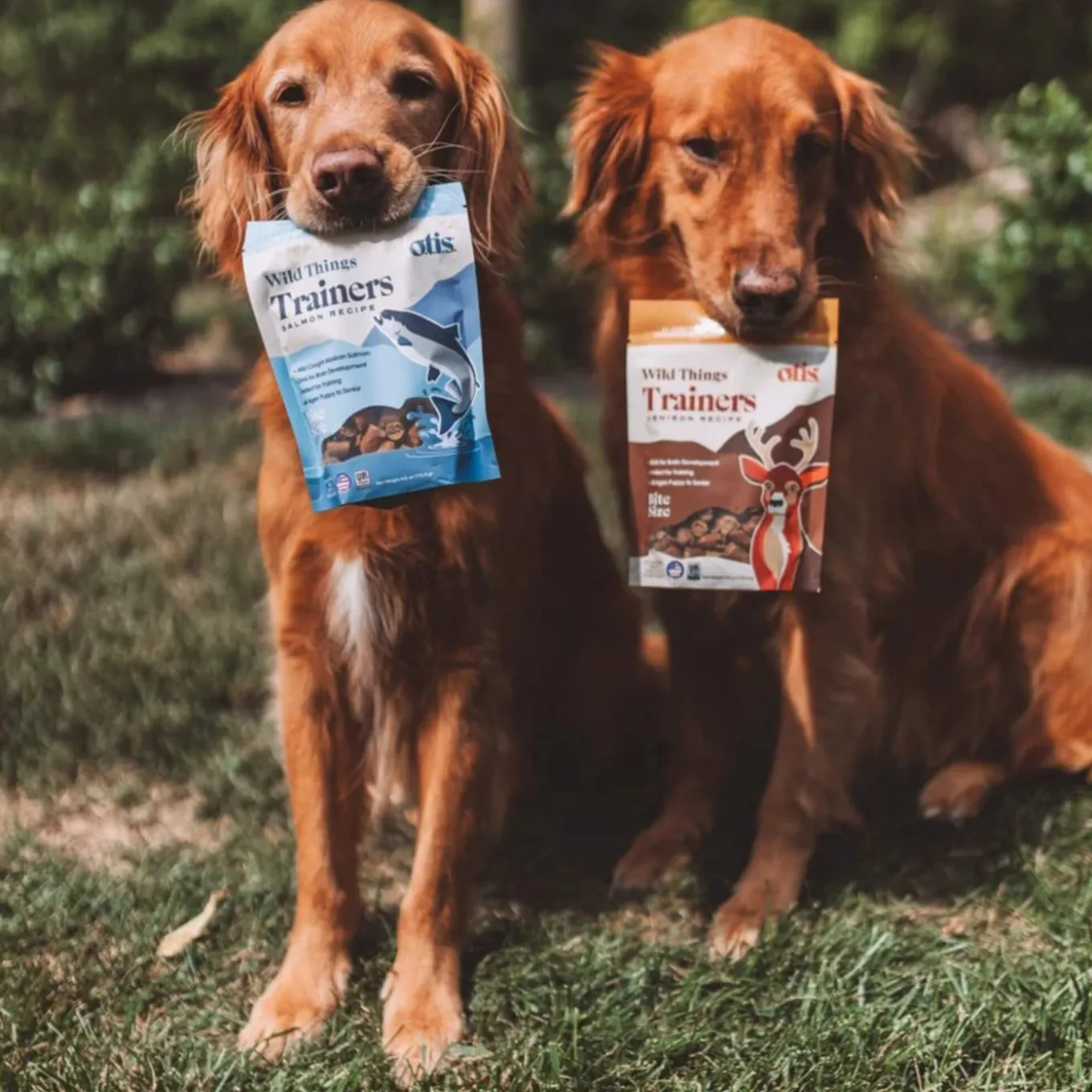 O.T.I.S. Wild Things Trainers Dog Treats