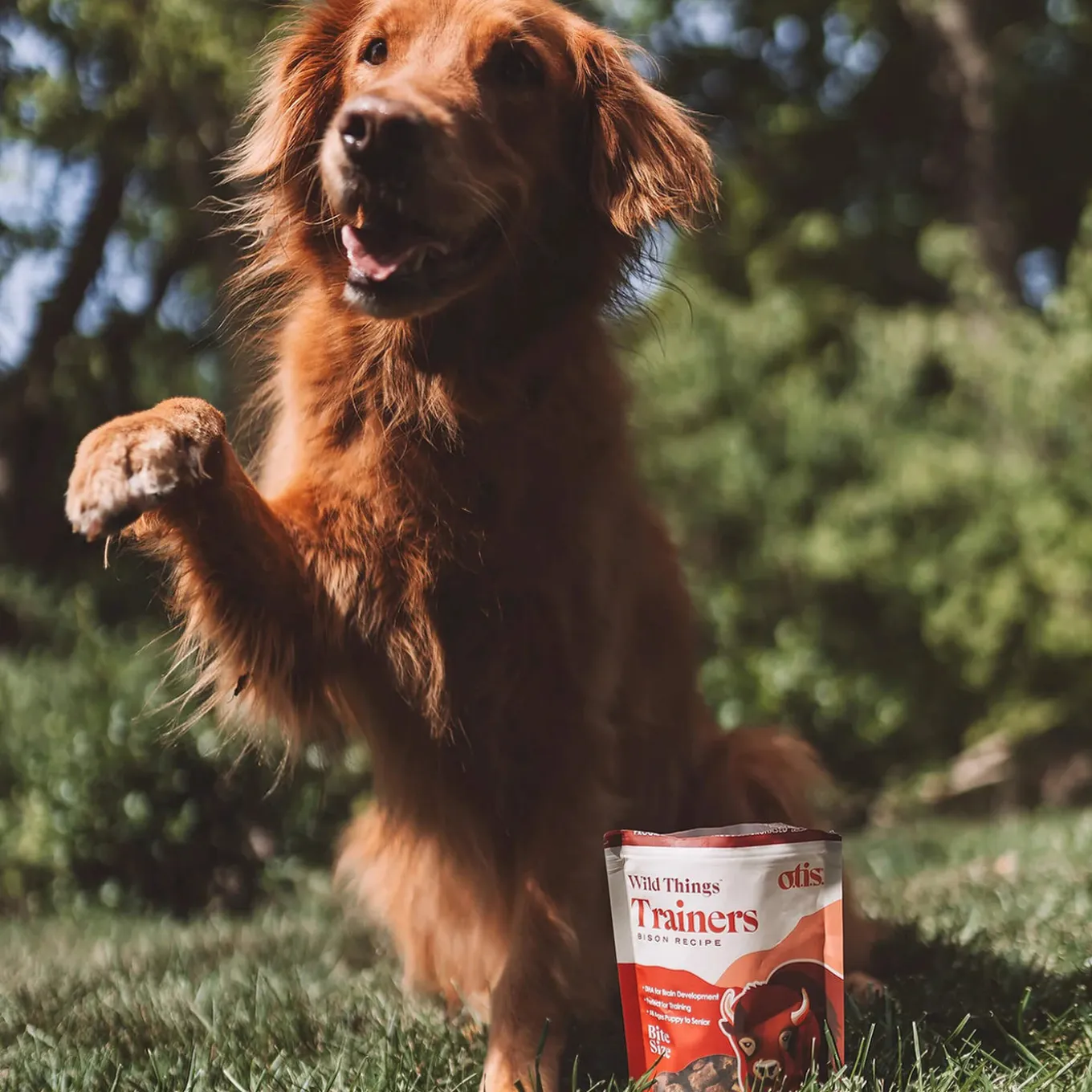 O.T.I.S. Wild Things Trainers Dog Treats