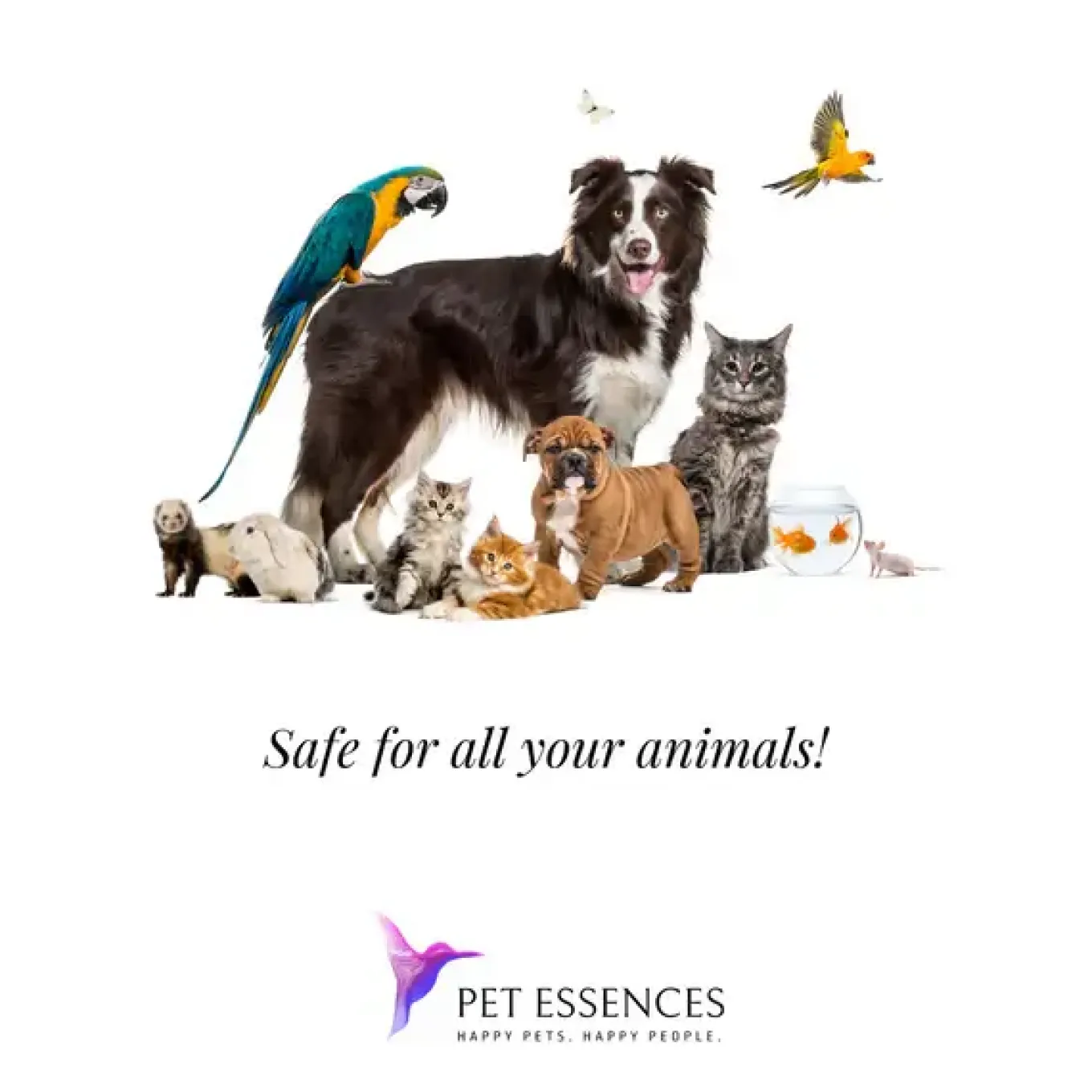 Pet Essences Out of Control for Dogs & Cats