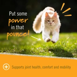 Pet Naturals Hip and Joint Soft Chews for Cats