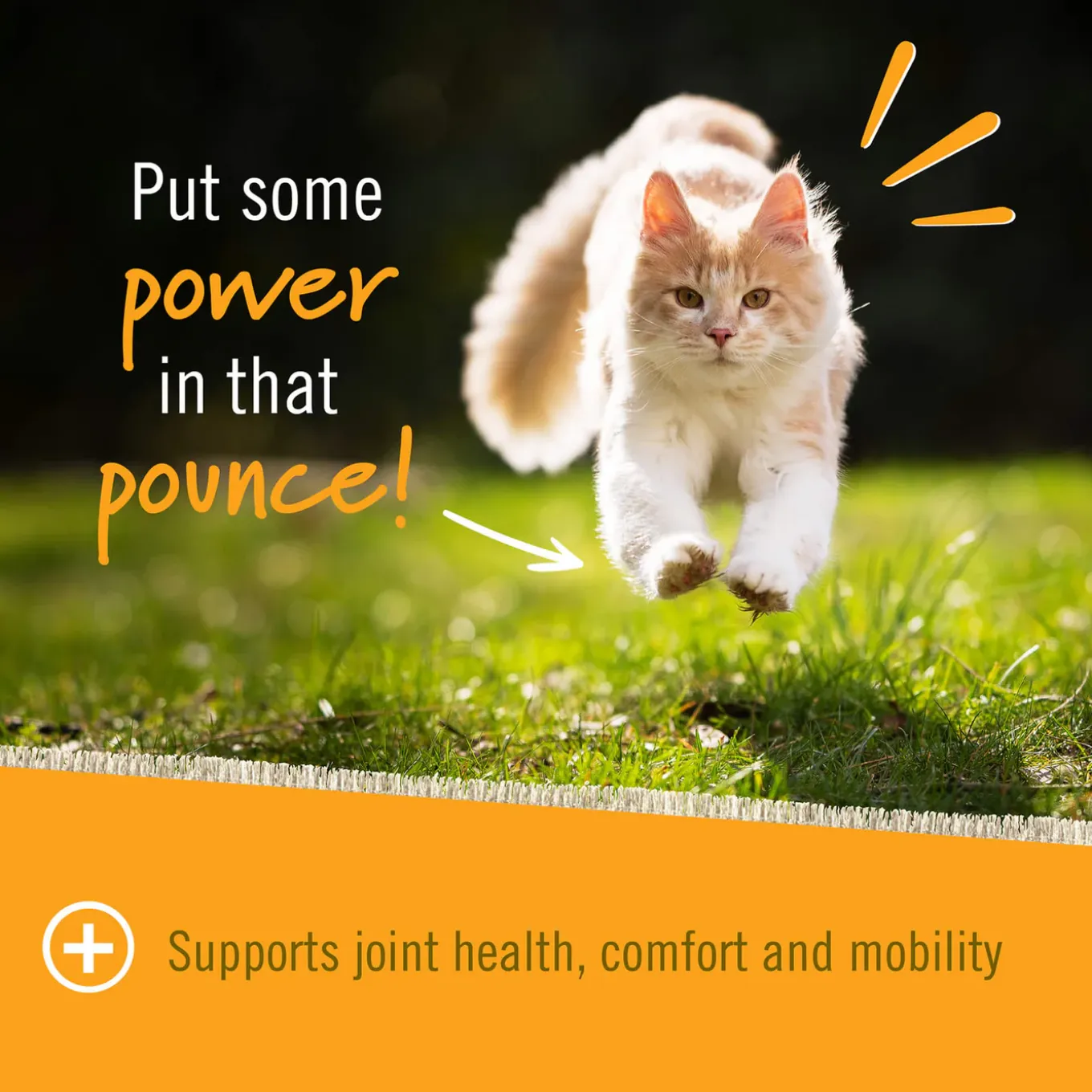 Pet Naturals Hip and Joint Soft Chews for Cats