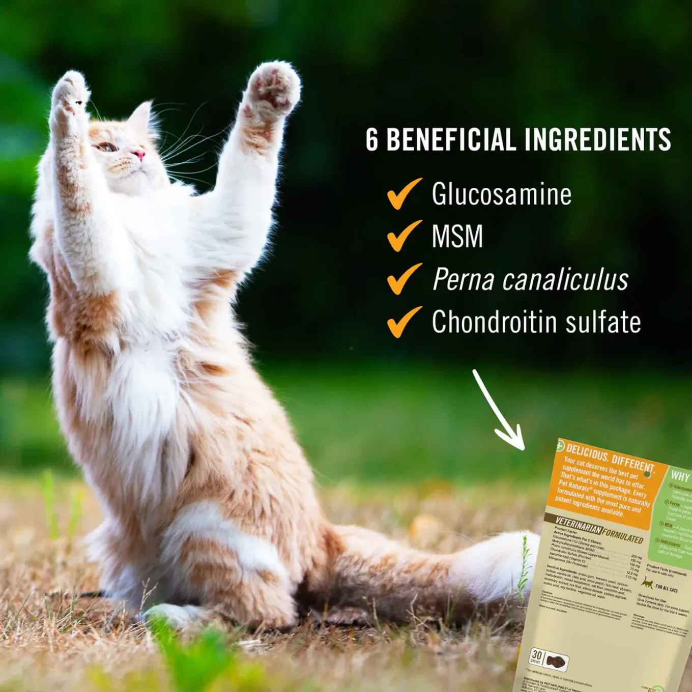 Pet Naturals Hip and Joint Soft Chews for Cats