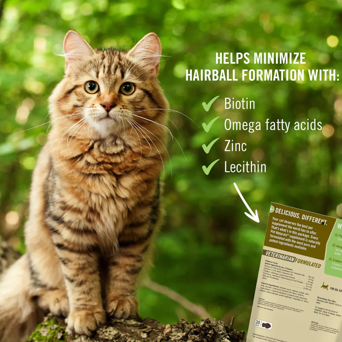 Pet Naturals Soft Chew Hairball Treats for Cats