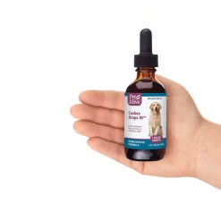 PetAlive Cushex Drops-M Homeopathic Remedy for Cushing's in Dogs & Cats