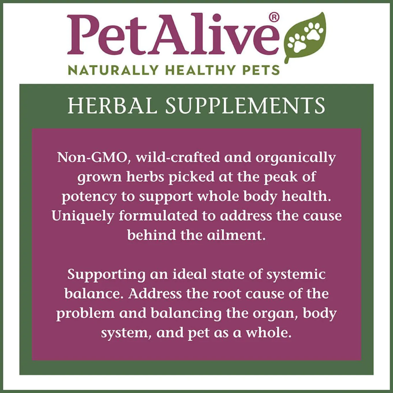 PetAlive Kidney Support Herbal Supplement for Dogs & Cats