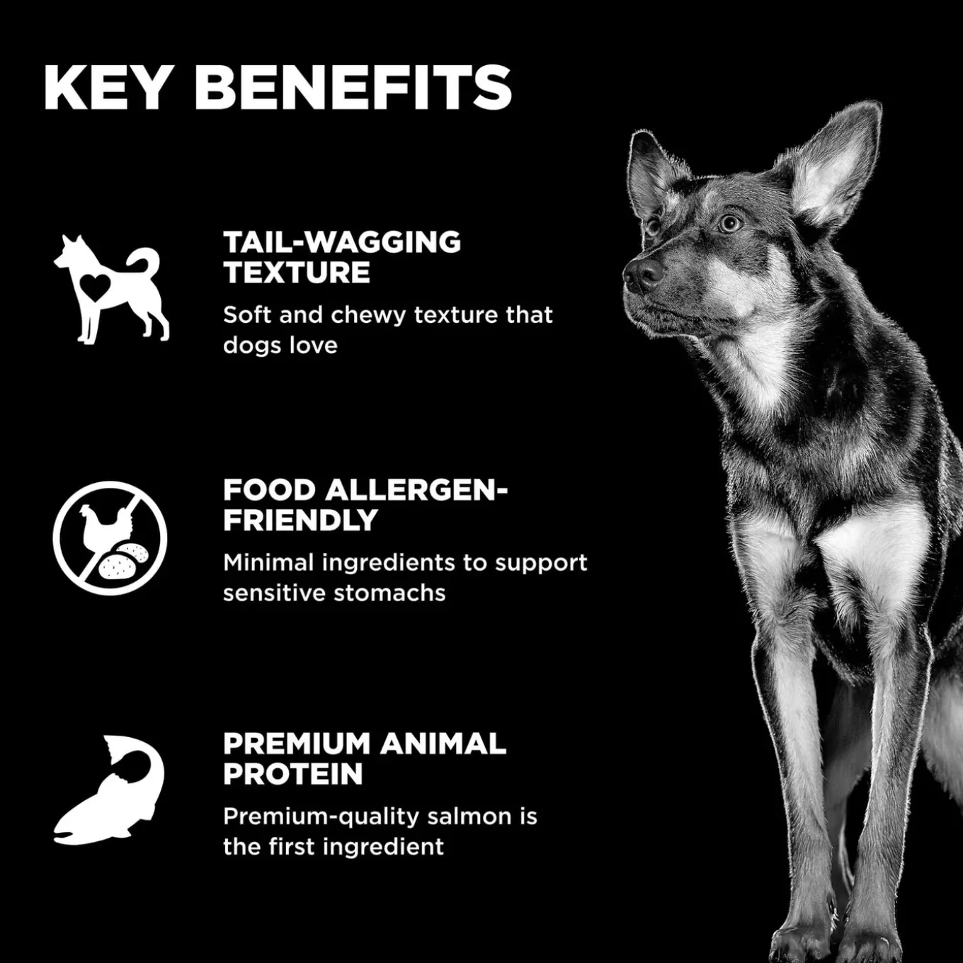 Petcurean GO! Benefit Chews for Dogs