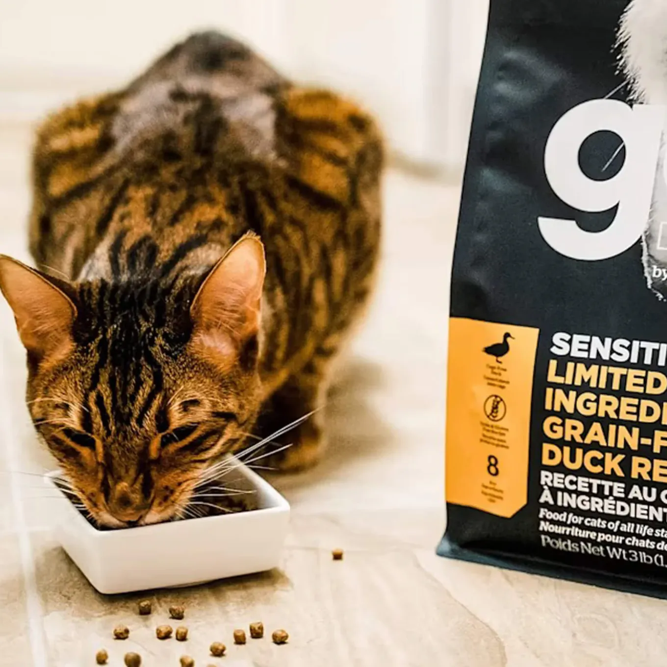 Petcurean GO! Dry Cat Food