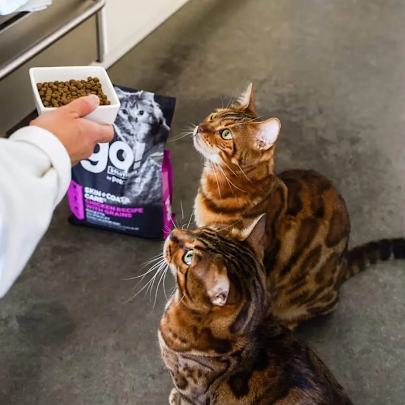 Petcurean GO! Dry Cat Food