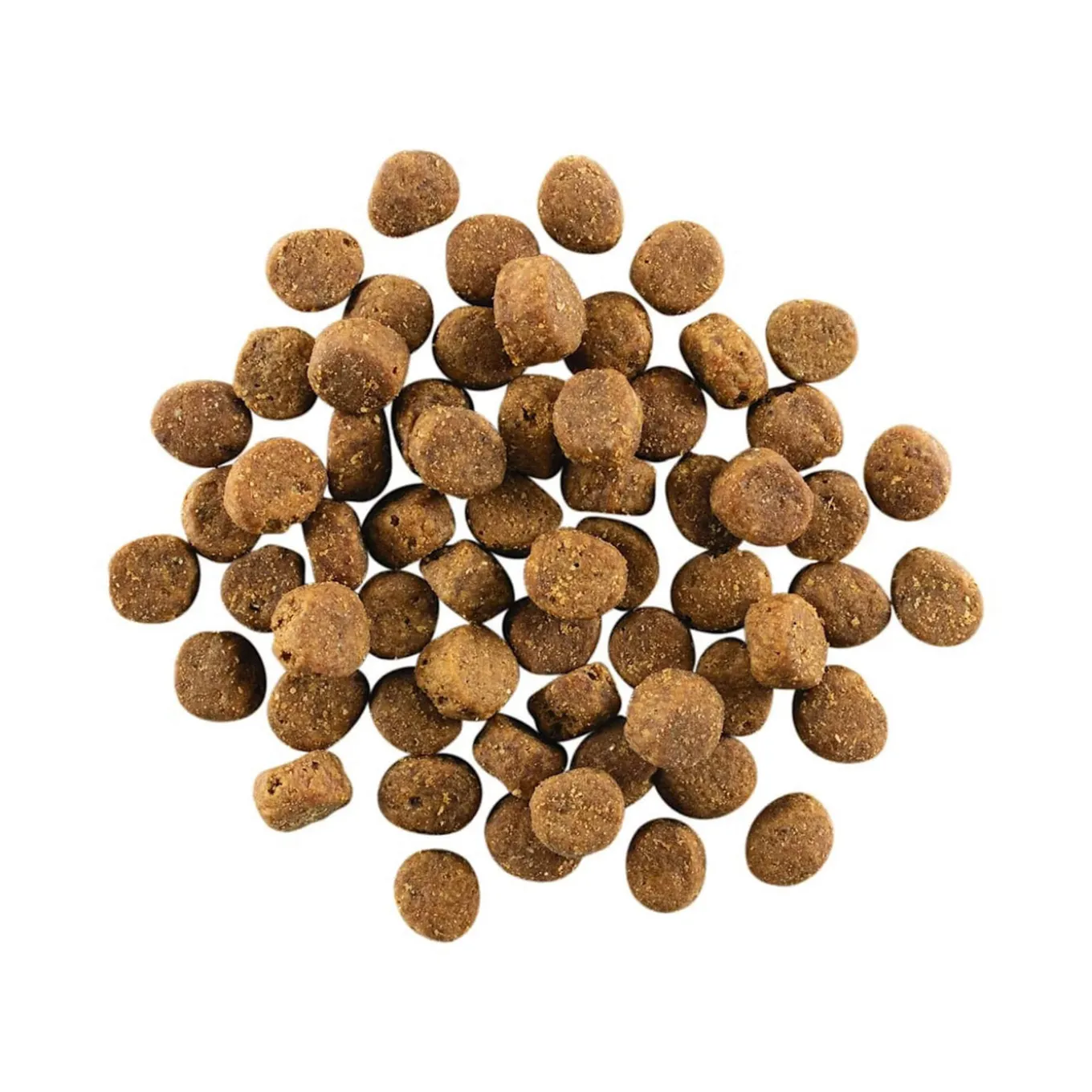 Petcurean GO! Carnivore Dry Dog Food